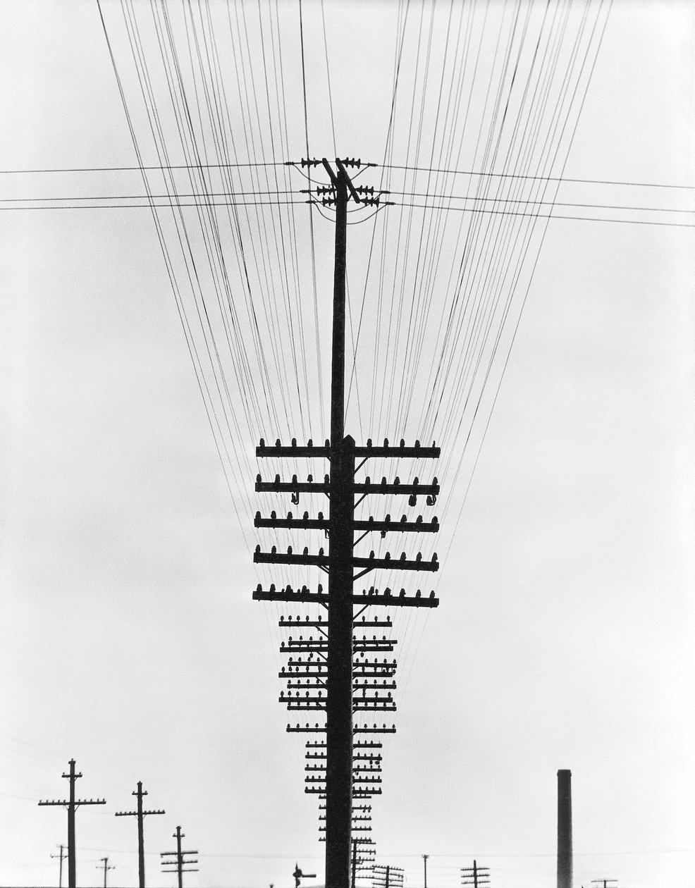 Cables telegráficos, México, 1925 de Tina Modotti