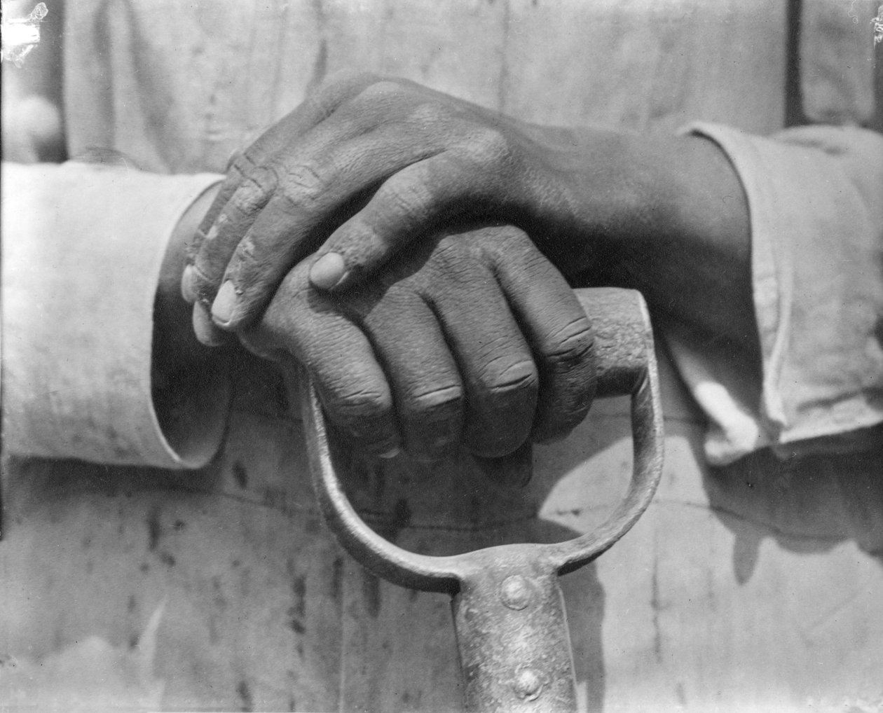 Manos de un Trabajador de la Construcción, México, 1926 de Tina Modotti