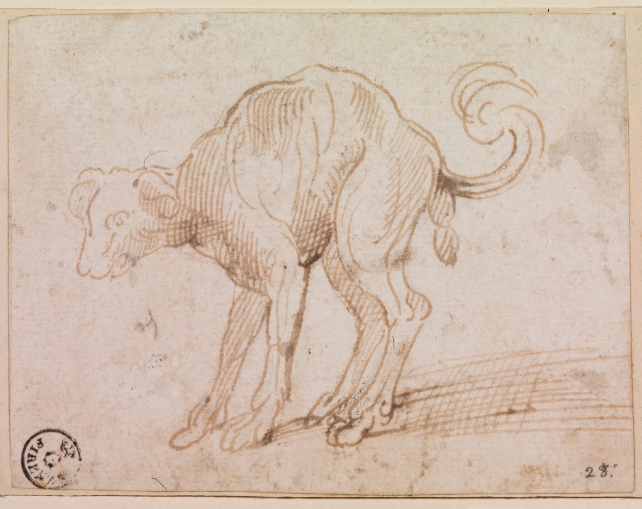 Detalle de un perro cruzando el Mar Rojo (pluma y tinta sobre papel) de Titian (c.1488 1576)