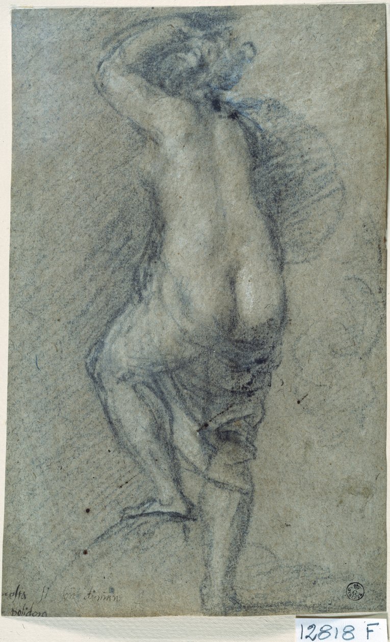 Mujer desnuda (tiza sobre papel) de Titian (c.1488 1576)