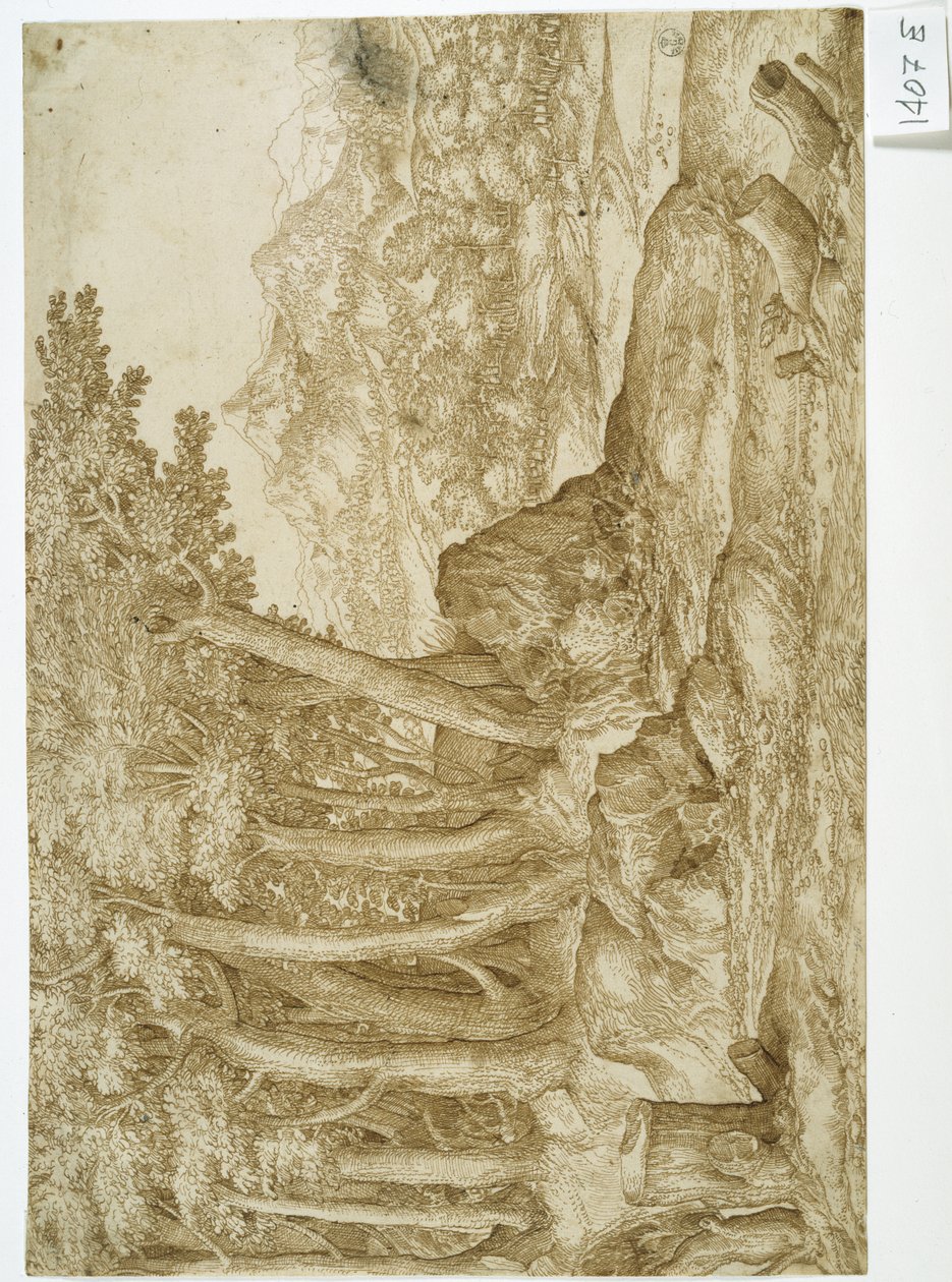 Paisaje (pluma y tinta sobre papel) de Titian (c.1488-1576)