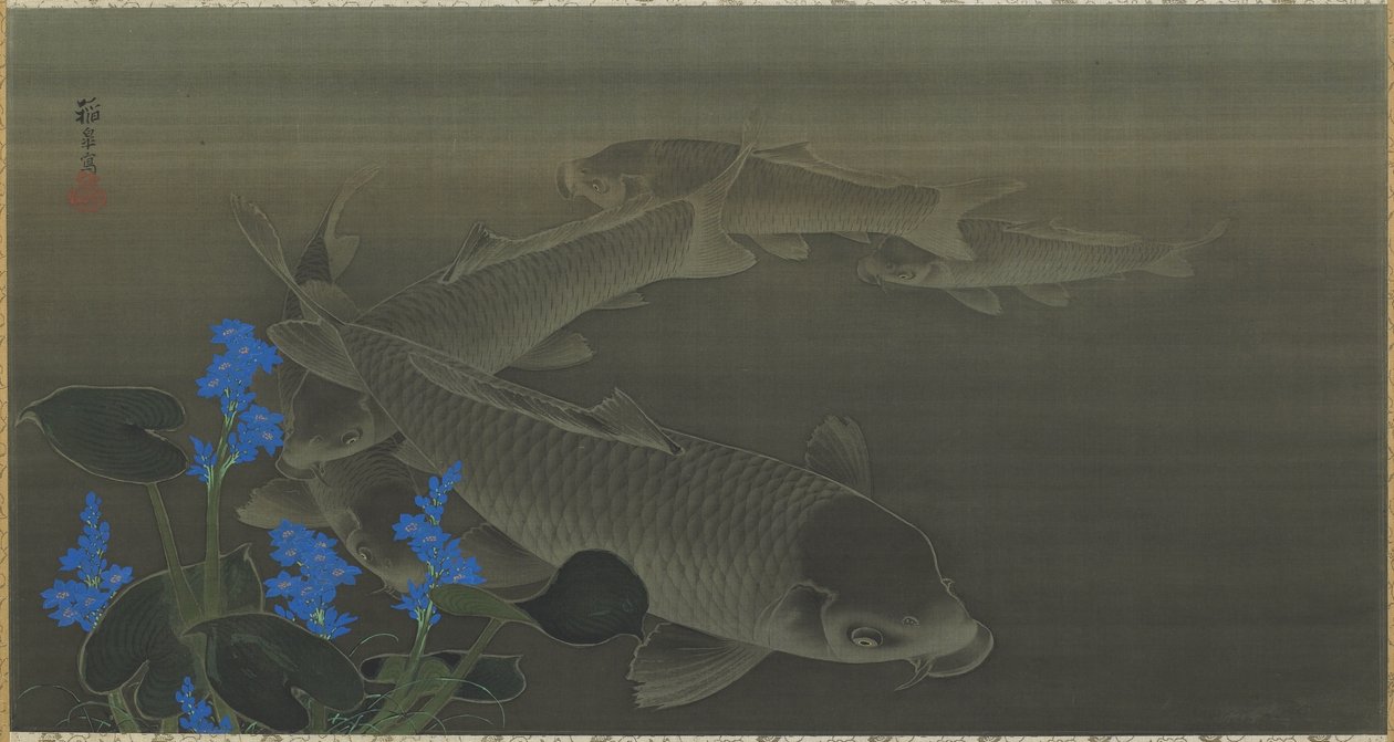 Carpa, período Edo, 1787-1846 de Toko Kuroda