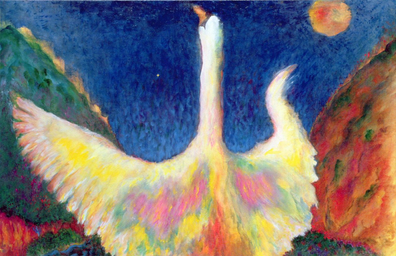 Leda y el cisne de Tom Cook