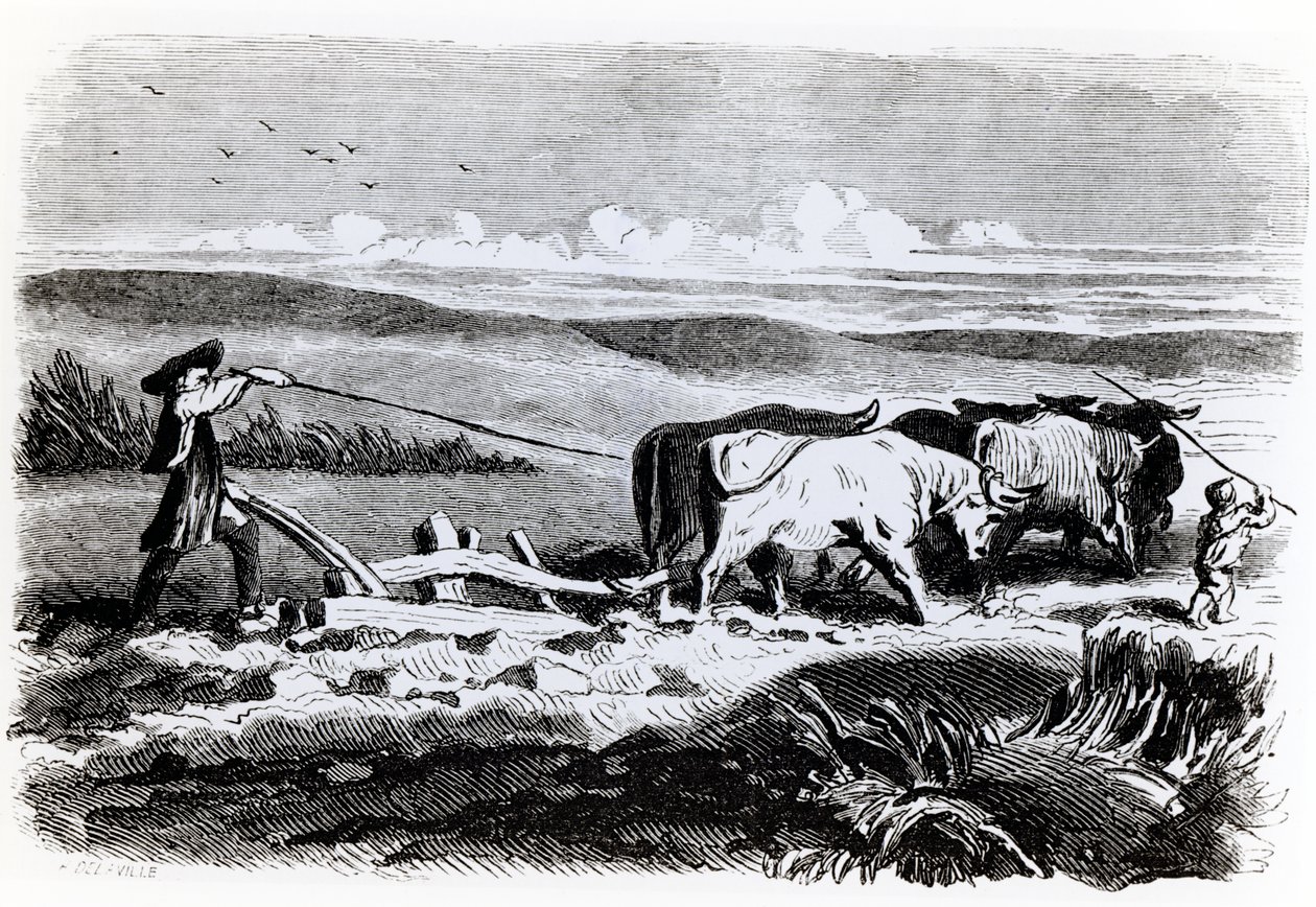 Ilustración de 
