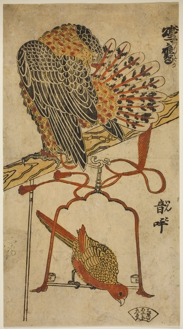 Gavilán y guacamayo (Konori taka, inko) de Torii Kiyomasu I