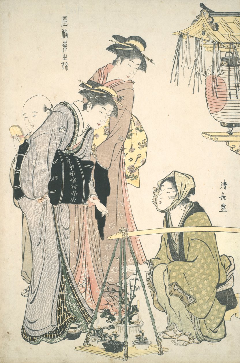 Comprar plantas en maceta: Brocados de Oriente de Torii Kiyonaga