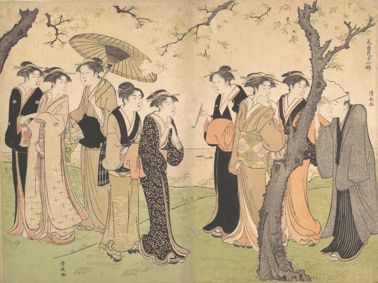 Grupo de seis geishas bajo los cerezos en Gotenyama, ca. 1785 de Torii Kiyonaga