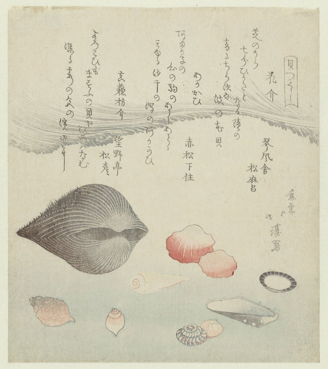 Concha de flor, concha roja y concha roja pura. Hanagai akagai masuogai (título sobre objeto) Una serie de conchas (título de la serie) Kaatsukushi (título de la serie sobre el objeto) de Totoya Hokkei
