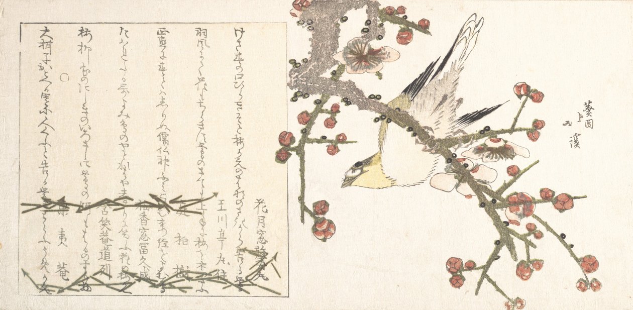 Ruiseñor en una rama de ciruelo Ume ni uguisu, principios del siglo XIX de Totoya Hokkei