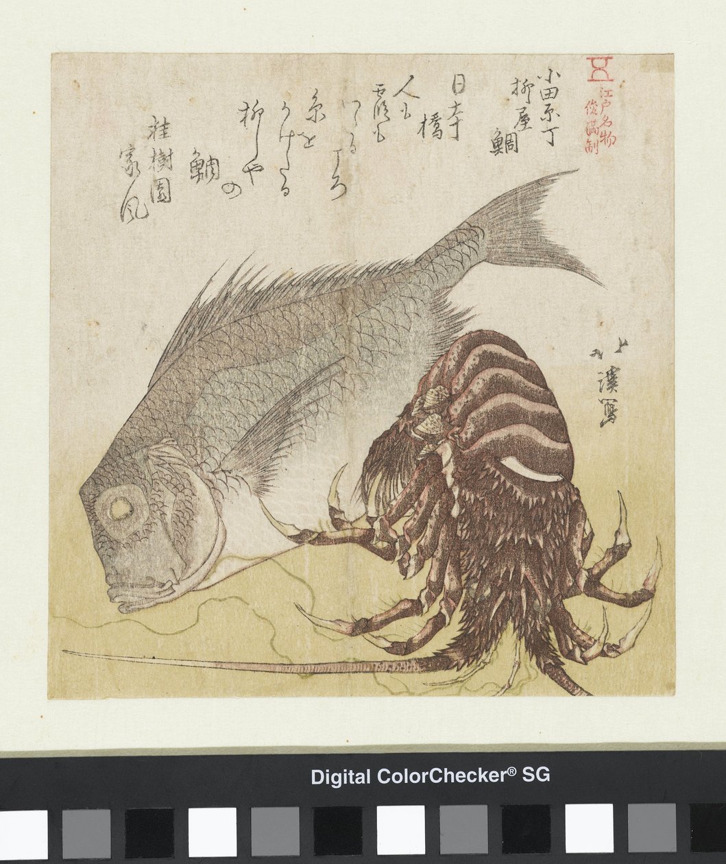 La lubina de Yanagiya en Odawara Chô Odawara Chô Yanagiya tai (título sobre el objeto) Productos famosos de Edo (título de la serie) Edo meibutsu (título de la serie sobre el objeto) de Totoya Hokkei