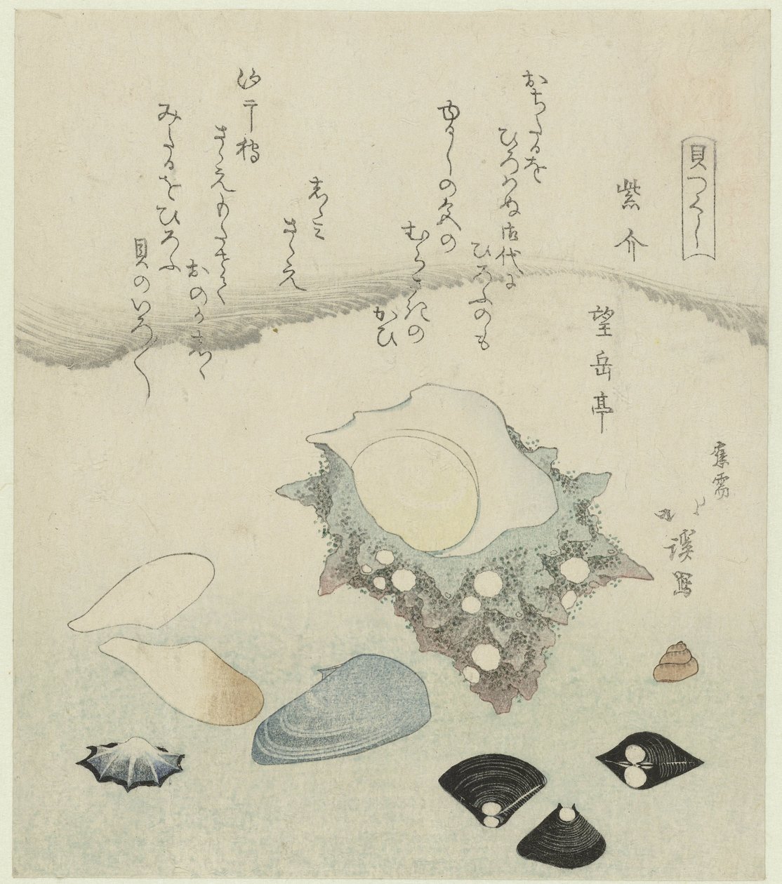 Concha morada, almejas de agua dulce y concha turbante Murasakigai shijimi sazae (título sobre objeto) Una serie de conchas (título de la serie) Kaatsukushi (título de la serie sobre el objeto) de Totoya Hokkei