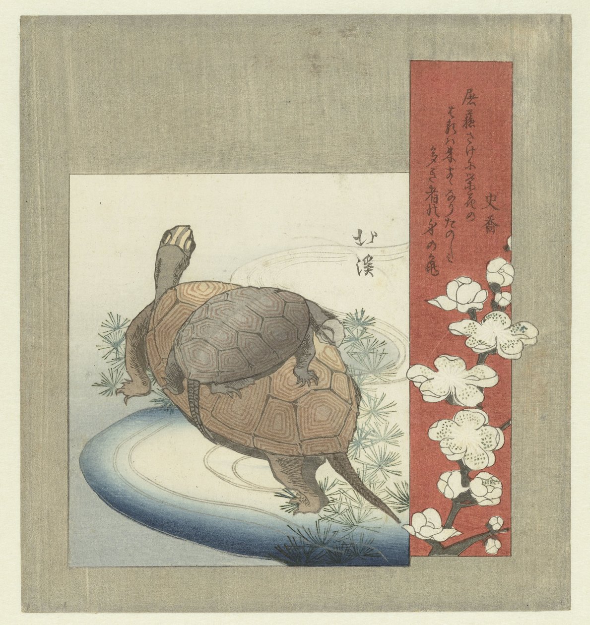 tortugas de Totoya Hokkei