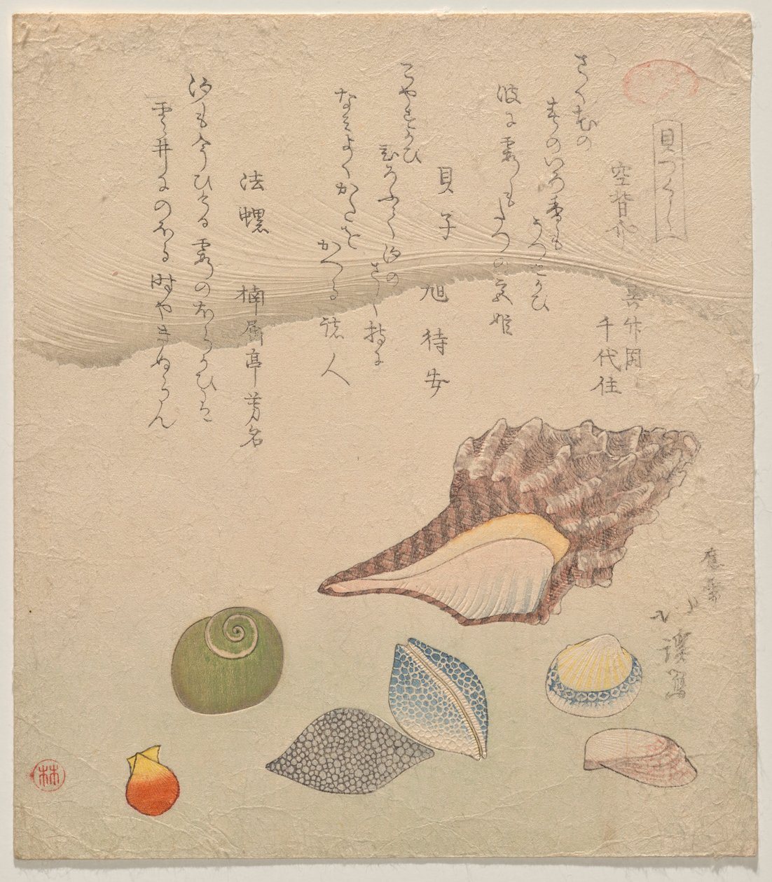 Siete conchas al borde del mar, de la serie Compendio de conchas (Kaizukushi) de Totoya Hokkei