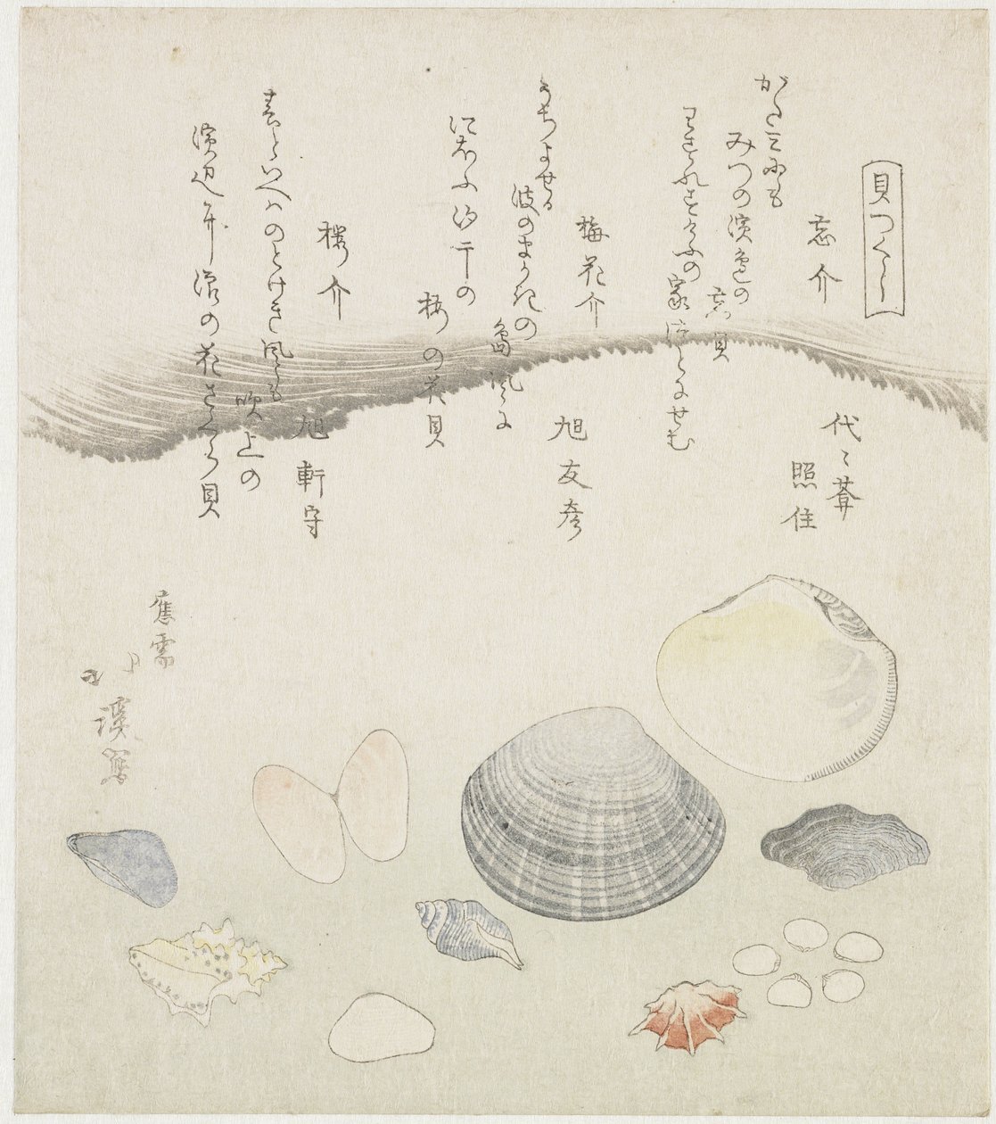 Concha olvidada, concha de flor de ciruelo y concha de cereza Wasuregai, umenohanagai, sakuragai (título sobre el objeto) Una serie de conchas (título de la serie) Kaatsukushi (título de la serie sobre el objeto) de Totoya Hokkei
