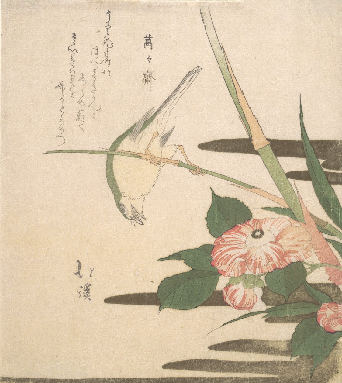 Reinita y camelia, ca. 1815-20 de Totoya Hokkei