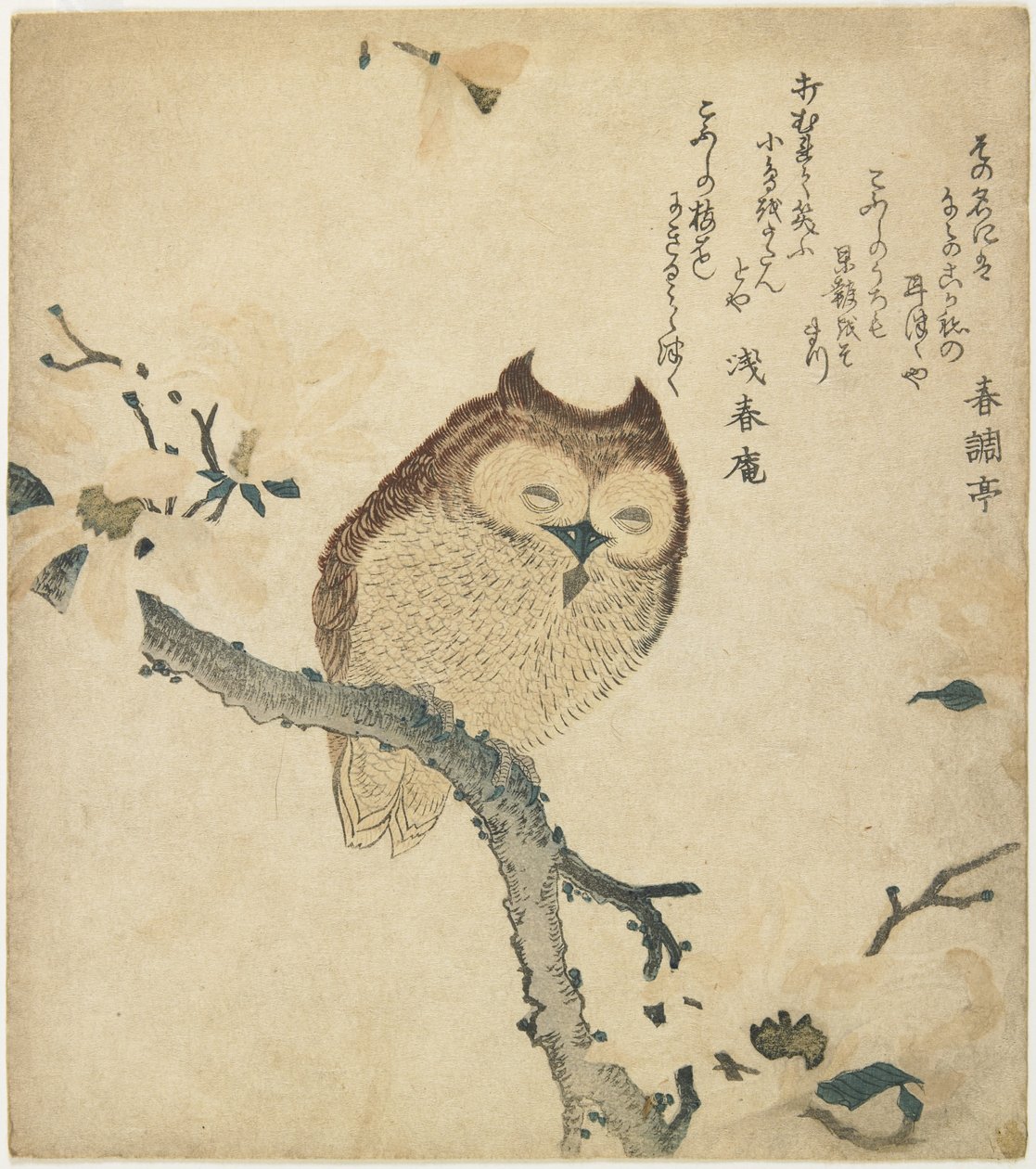 (Búho), principios del siglo XIX de Toyota Hokkei