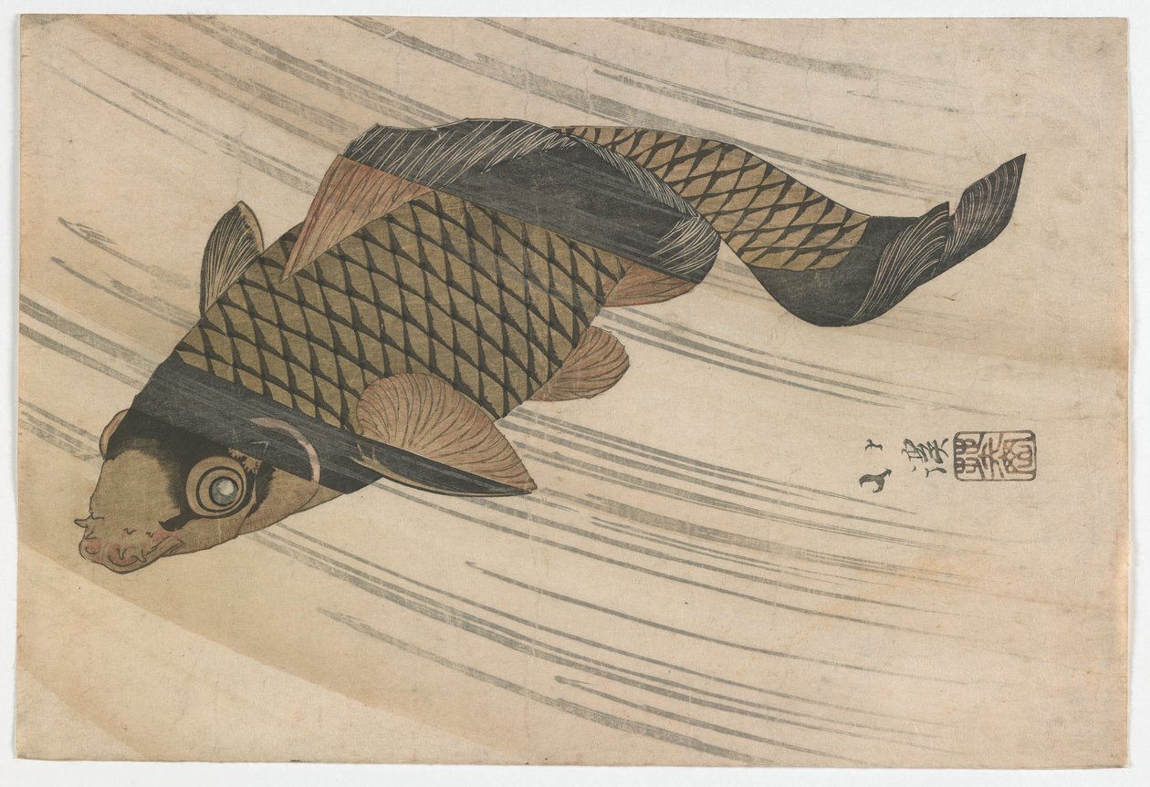 Carpas nadando río arriba, período Edo, mediados de 1820s de Toyota Hokkei