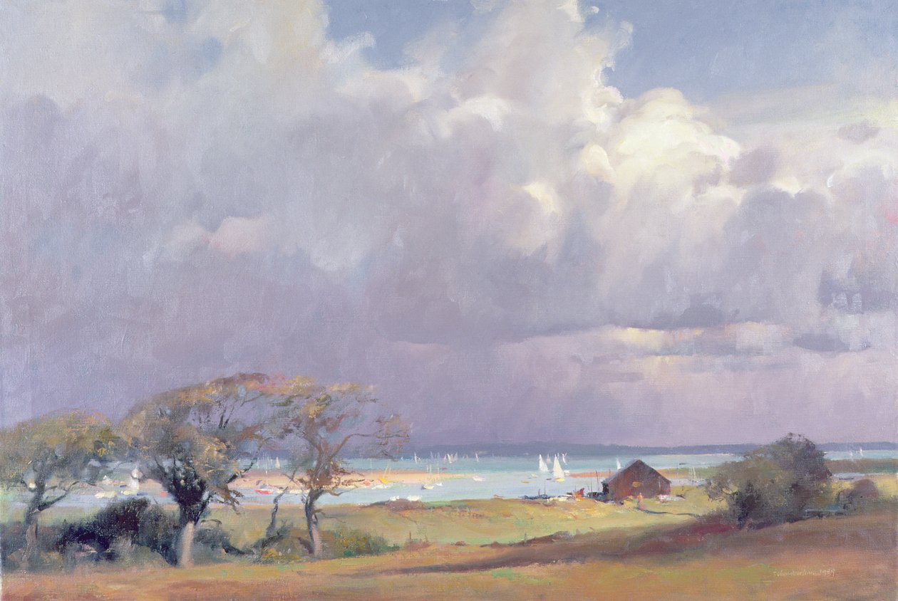 Tormenta amenazante en el Solent, 1989 de Trevor Chamberlain