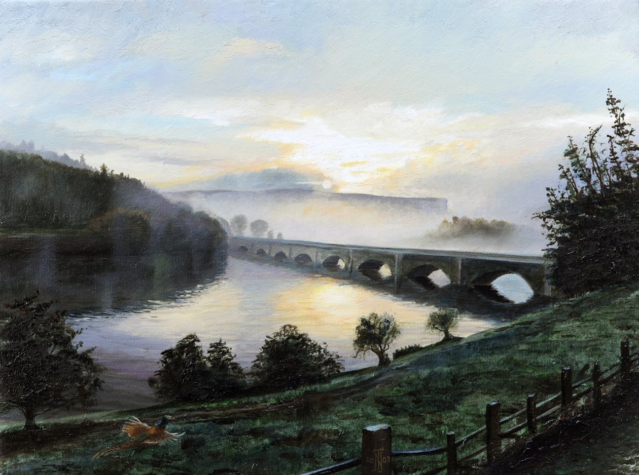 Niebla de la mañana, 2009 de Trevor Neal