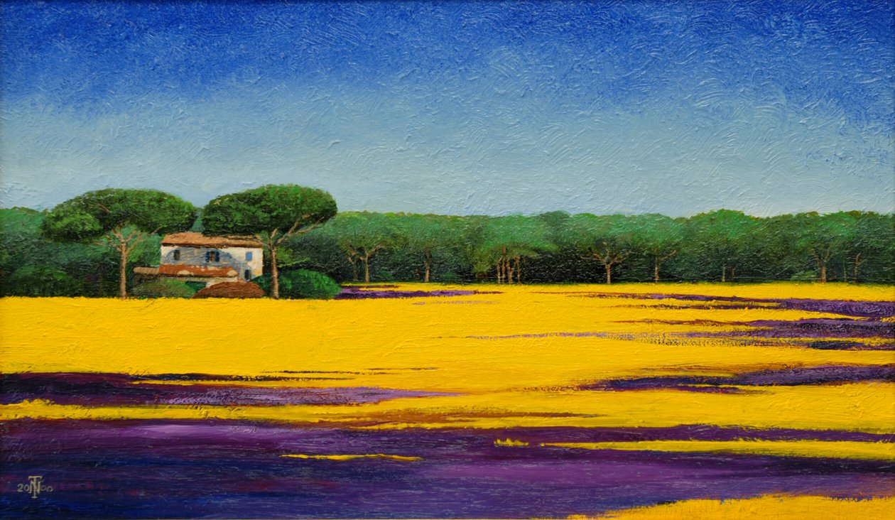Paisaje Toscano de Trevor Neal