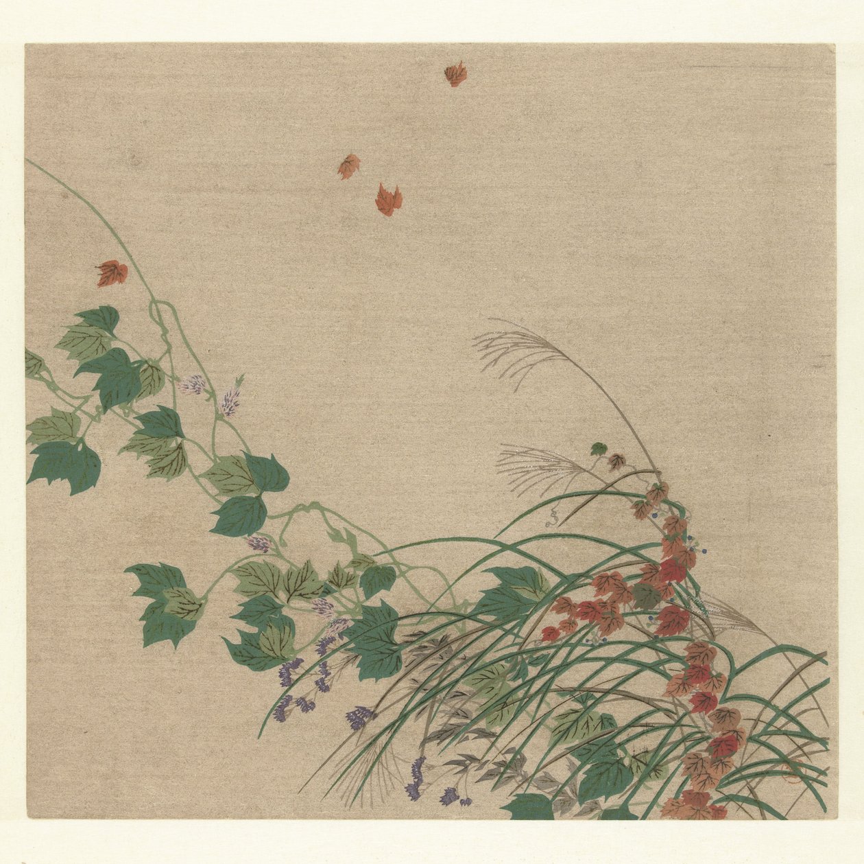 Otoño de Tsukioka Kogyo