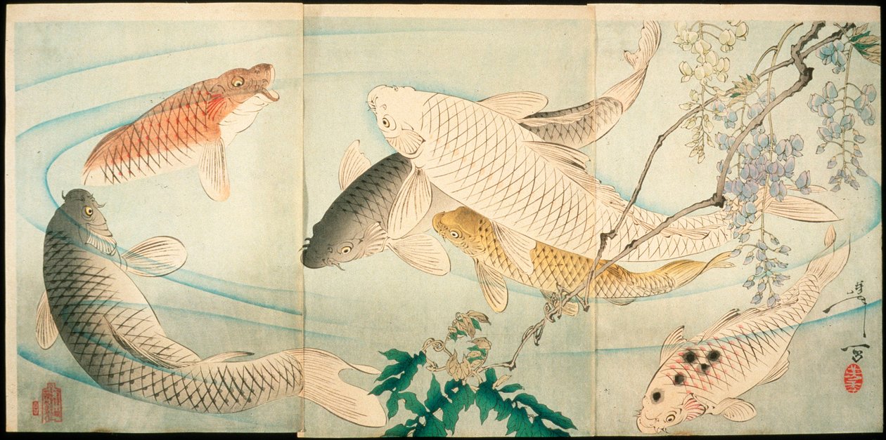 Carpa con glicinas de Tsukioka Yoshitoshi