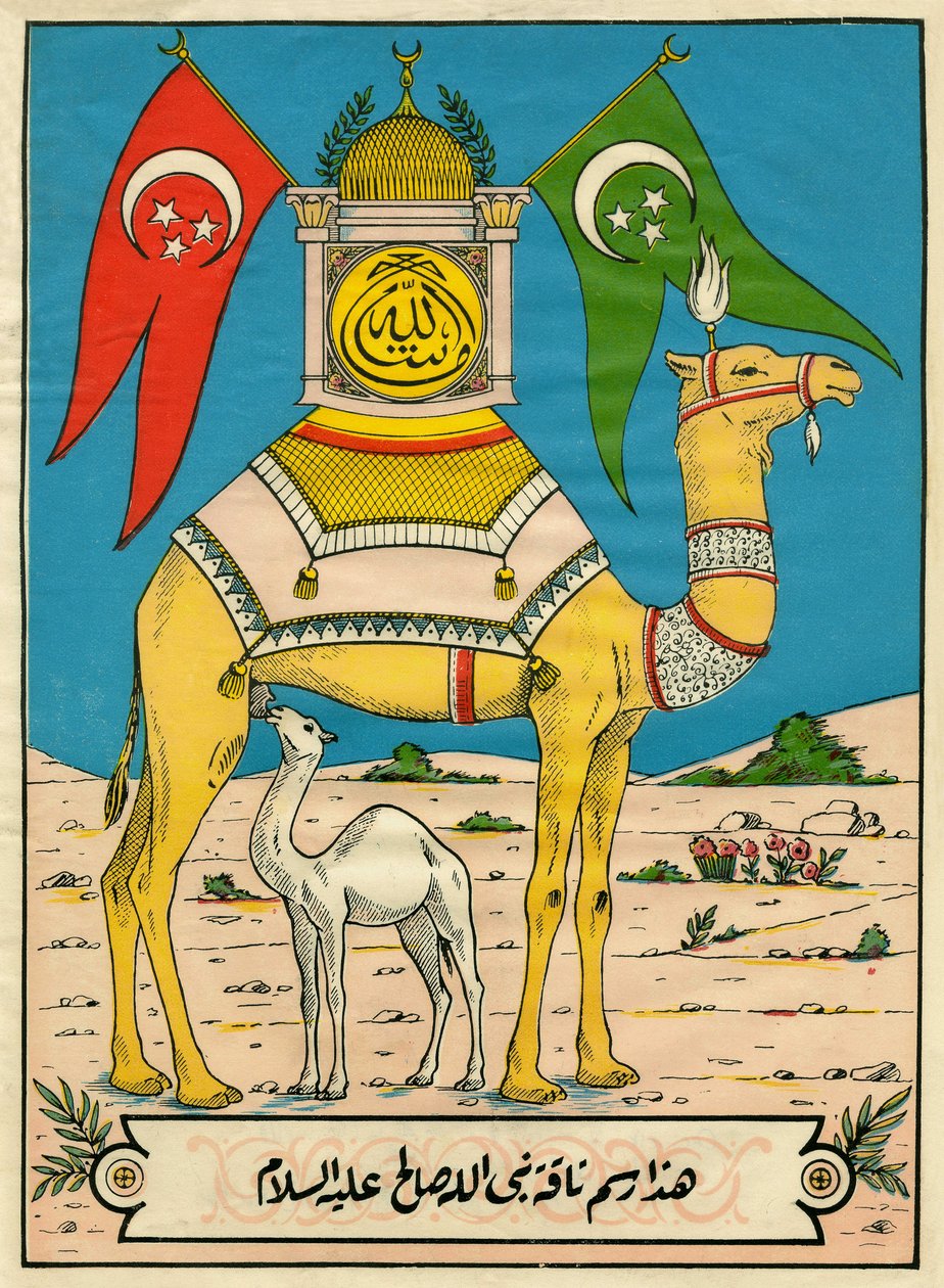 El camello de Saleh, Sura 7, versículo 71: (...) este camello de Dios es para ti una señal (...). Imágenes populares, Túnez de Tunisian School