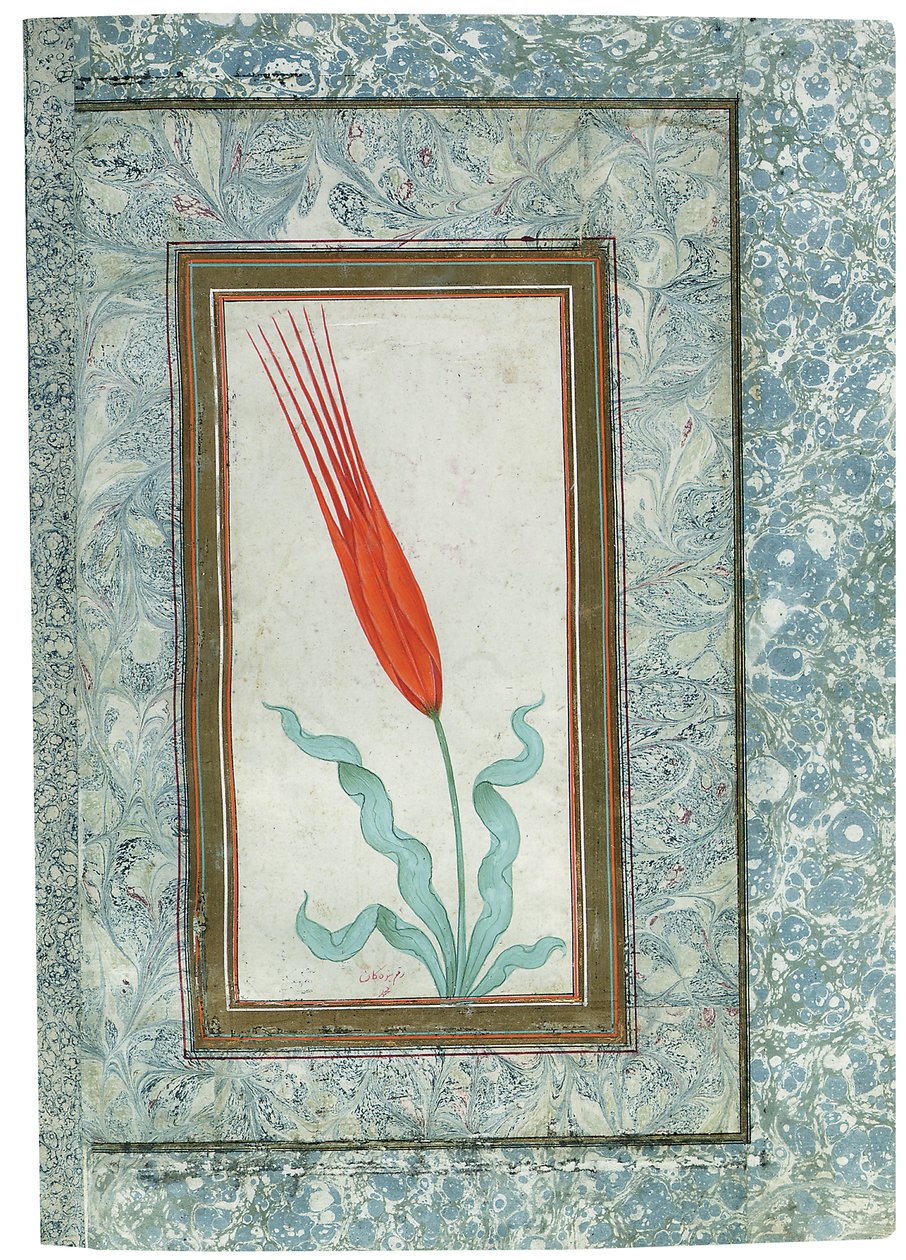 Página del álbum del tulipán turco, Estambul, 1725 de Turkish School