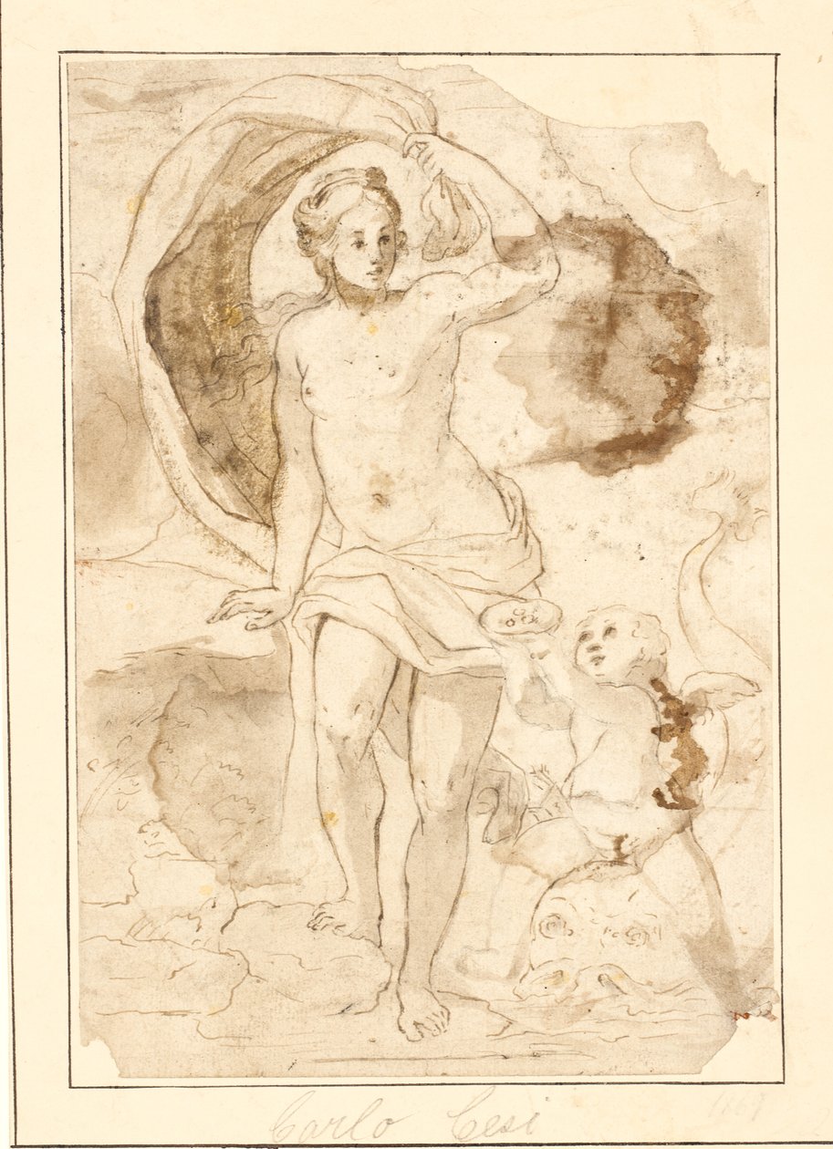 Venus siendo ofrecida perlas en una concha por Cupido montado en un delfín de Ubekendt