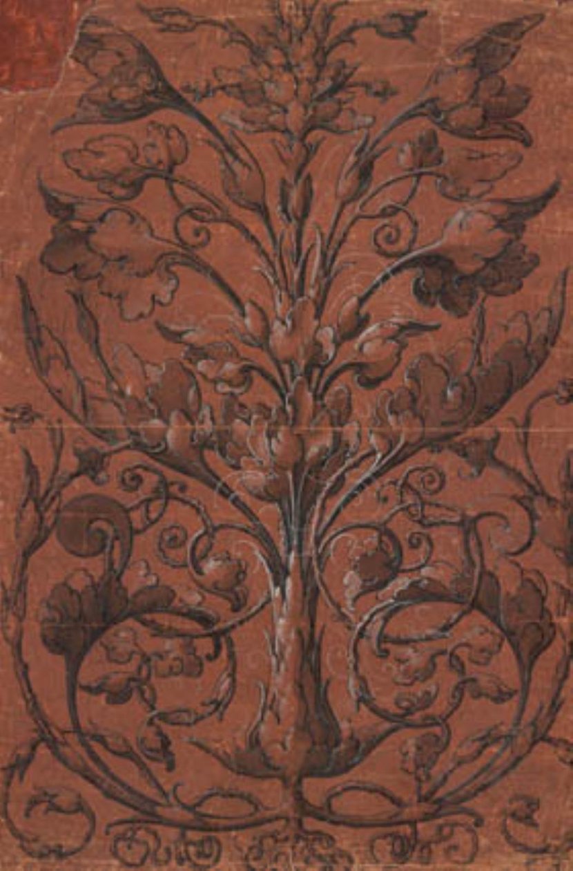 Ornamentación vegetal simétrica de Ubekendt tysk 1520