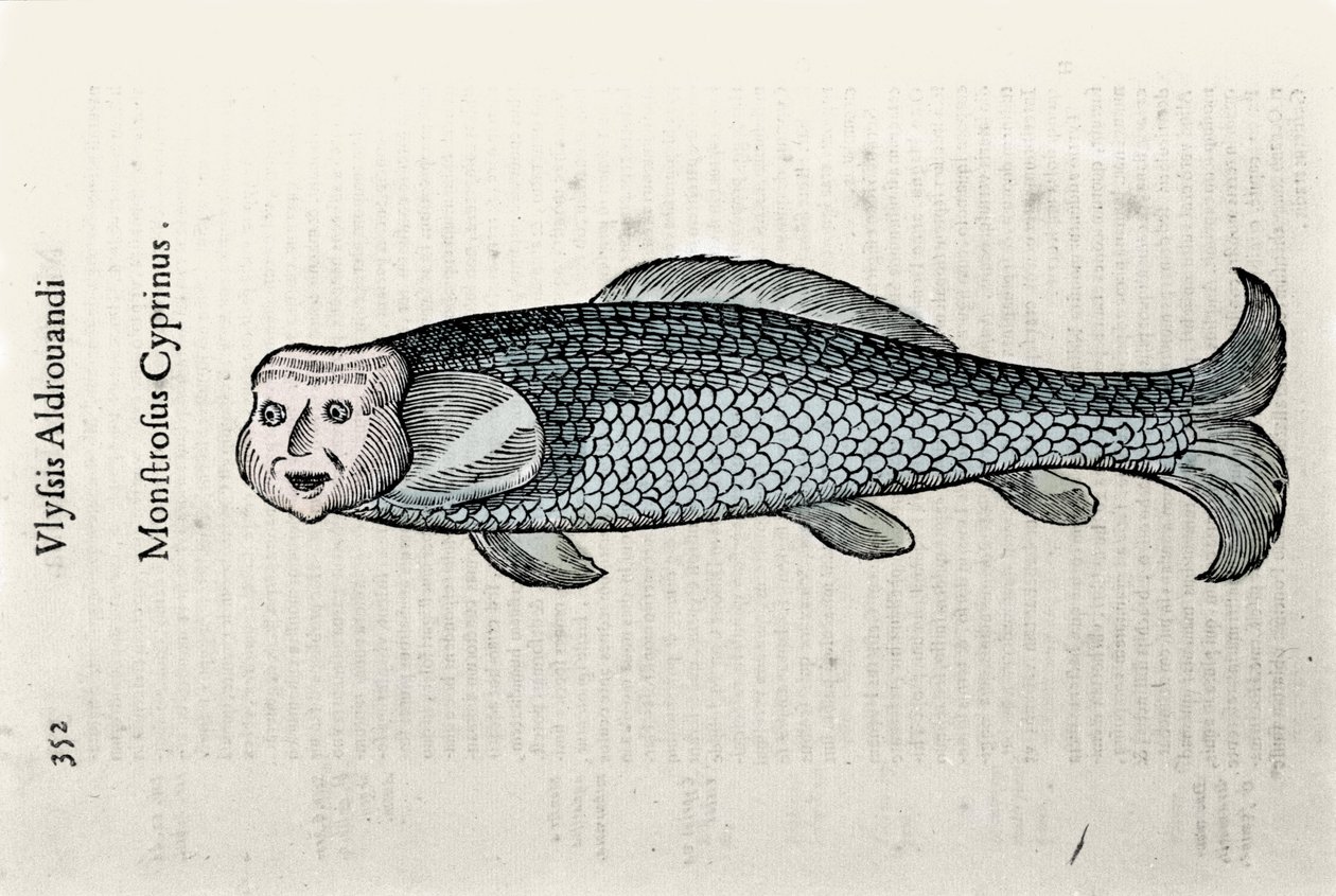 Representación de peces, placa de Nicolas ilustrada con un manuscrito de Historia Natural por Ulisse Aldrovandi (1522-1605), fondo Ulisse Aldrovandi, Biblioteca Universitaria de Bolonia, ed. 1603 de Ulisse Aldrovandi