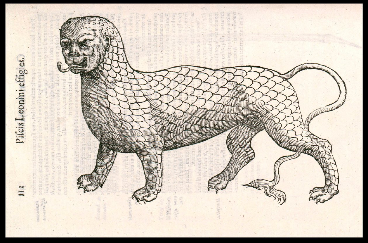 Criatura monstruosa: un león cubierto de escamas de pez. Grabado de Ulisse Aldrovandi, "Monstrorum Historiae", Bolonia 1642 de Ulisse Aldrovandi