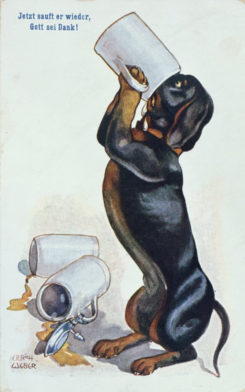 Un dachshund bebiendo cerveza, c.1900 de Ulrich Weber