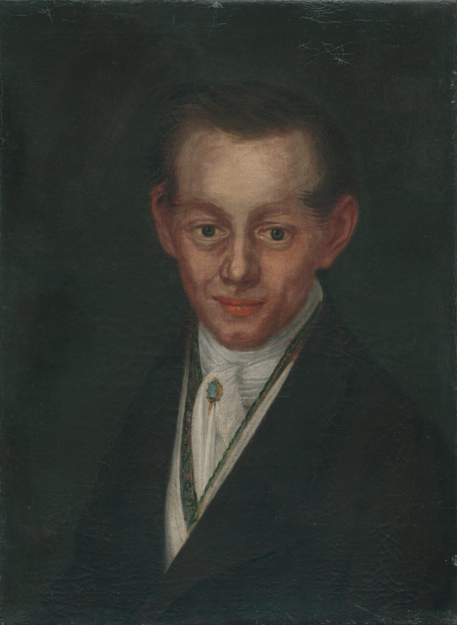 Retrato de un joven de Unbekannt Unbekannt