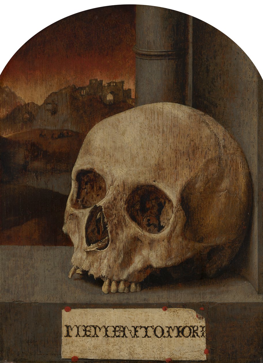 Bodegón de vanitas de Unbekannt Unbekannt