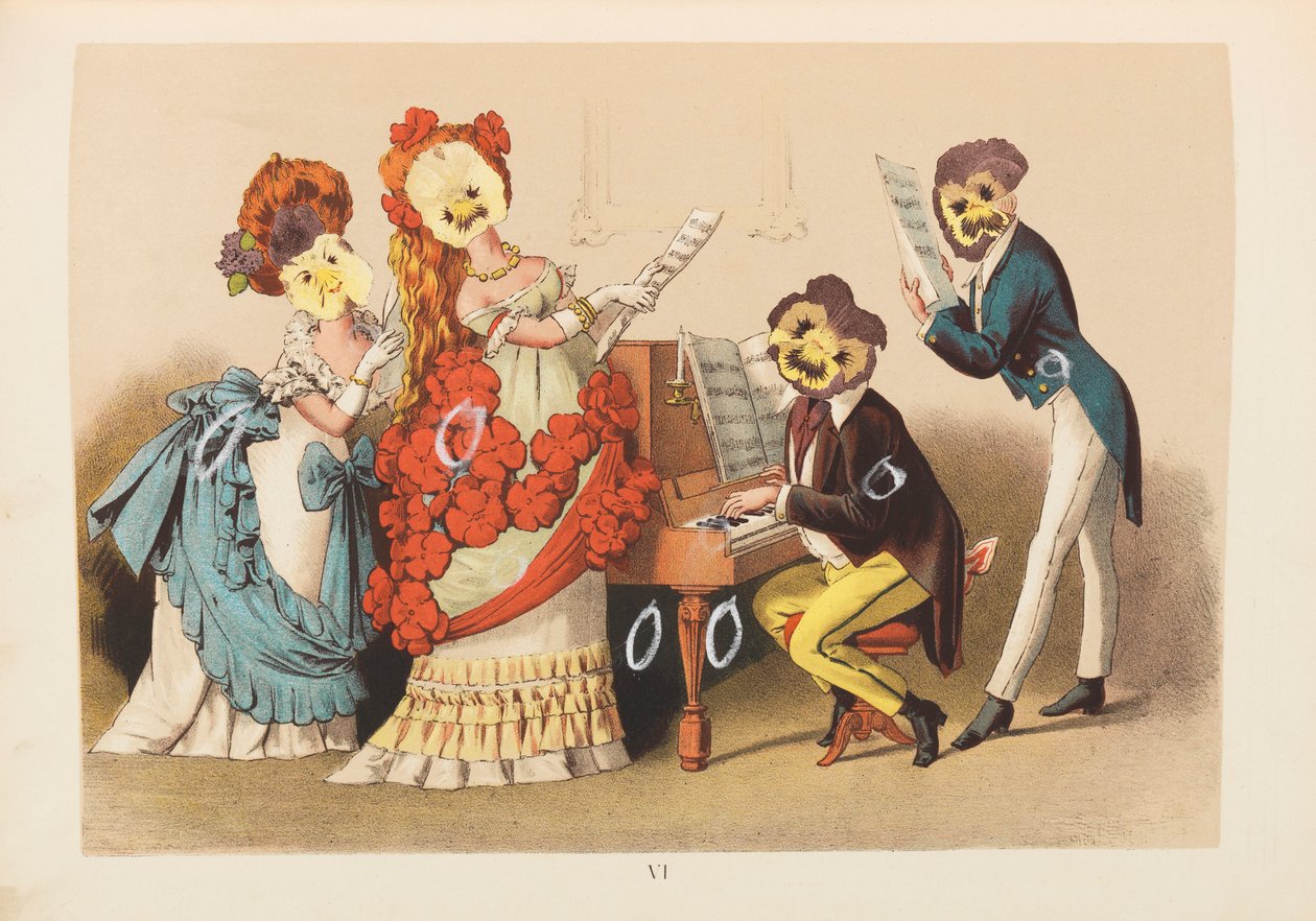 Ilustración de Viola Tricolor de Unbekannt Unbekannt