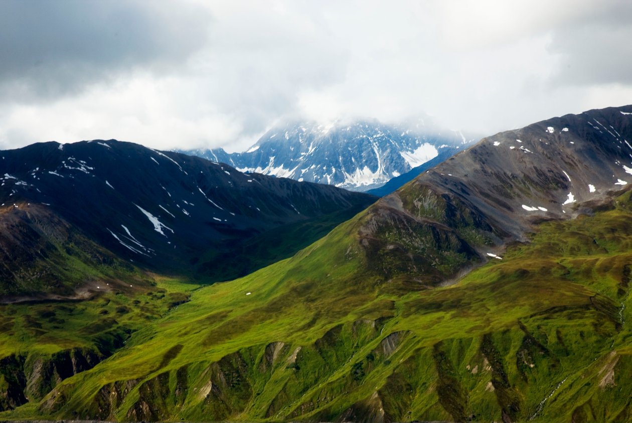 Tundra de Alaska, Parque Nacional Denali, Alaska de Unbekannt Unbekannt