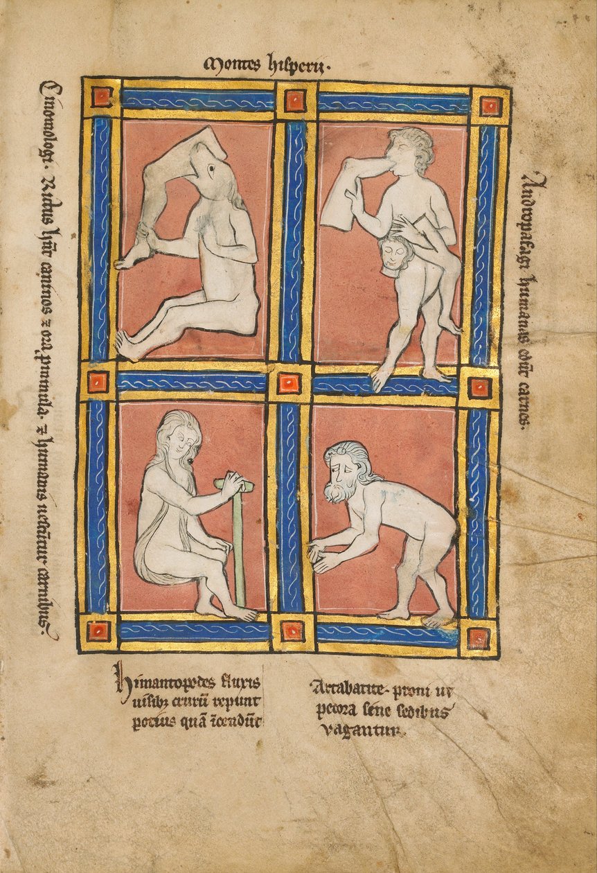 Cinomologus; Antropófago; Himantopode; Artabatite de Unbekannt Unbekannt