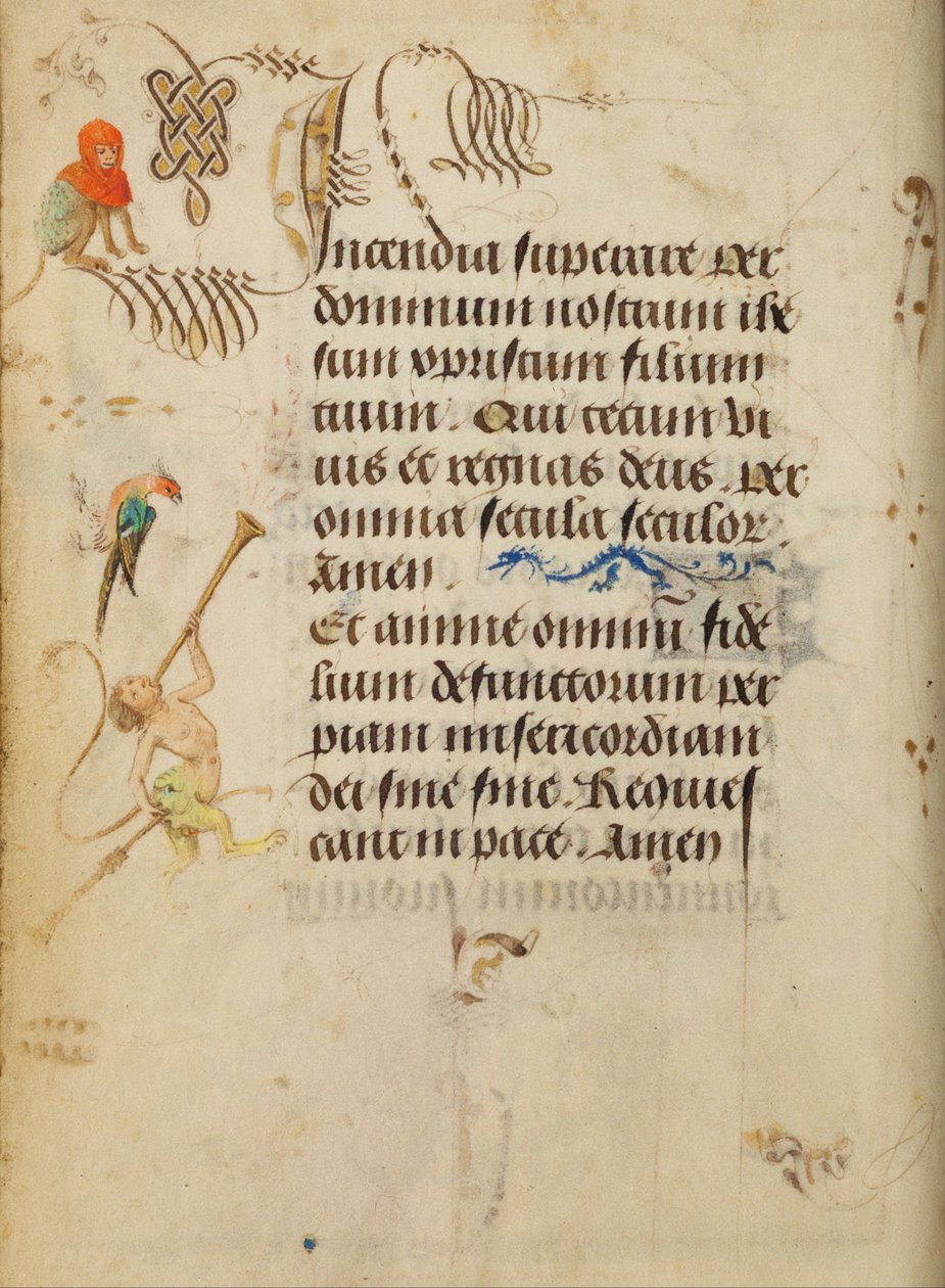 Página de texto decorada de Unbekannt Unbekannt