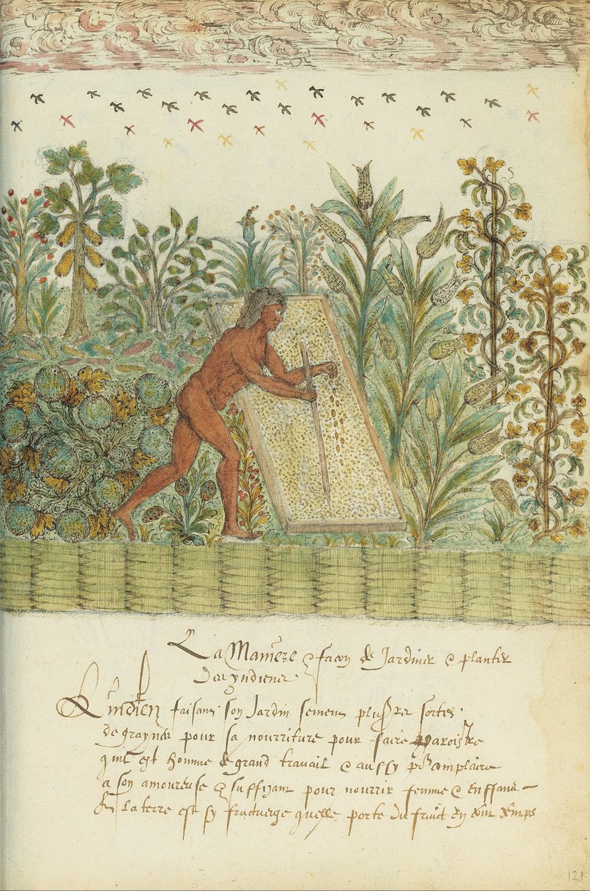 Histoire Naturelle des Indes de Unbekannt Unbekannt