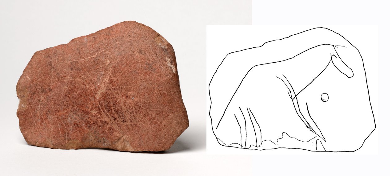 Motivo de caballo inciso en una placa de piedra caliza de Unbekannt Unbekannt