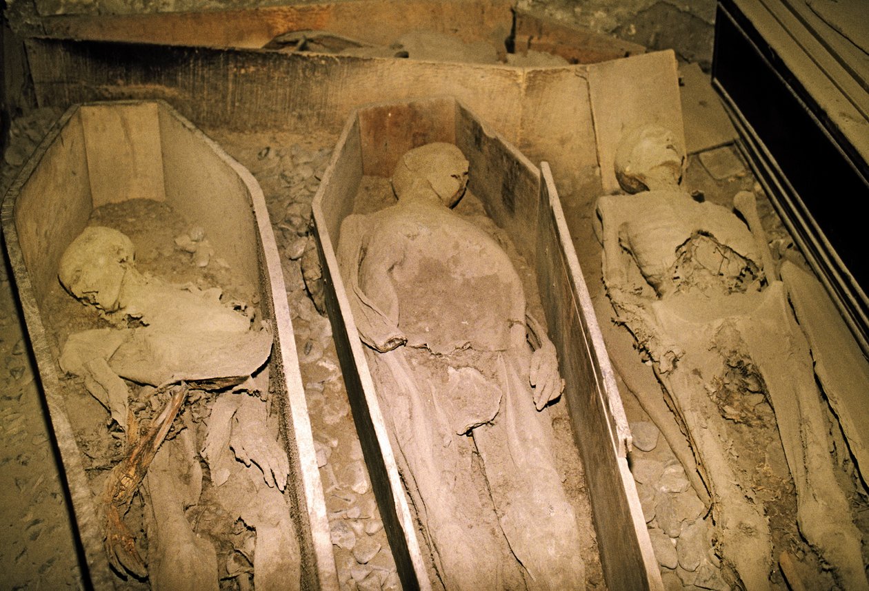 Cuerpos momificados de Unbekannt Unbekannt