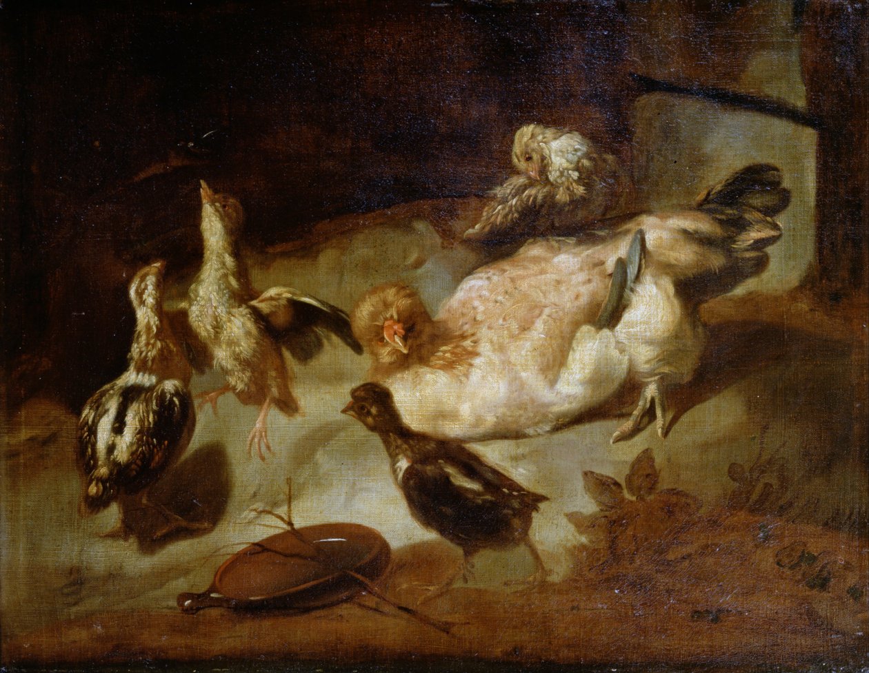 Aves de corral de Unbekannt Unbekannt