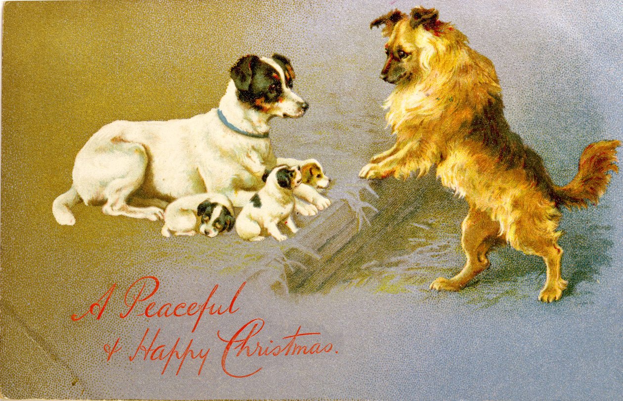 Cachorros en la paja, postal victoriana de Unbekannt Unbekannt