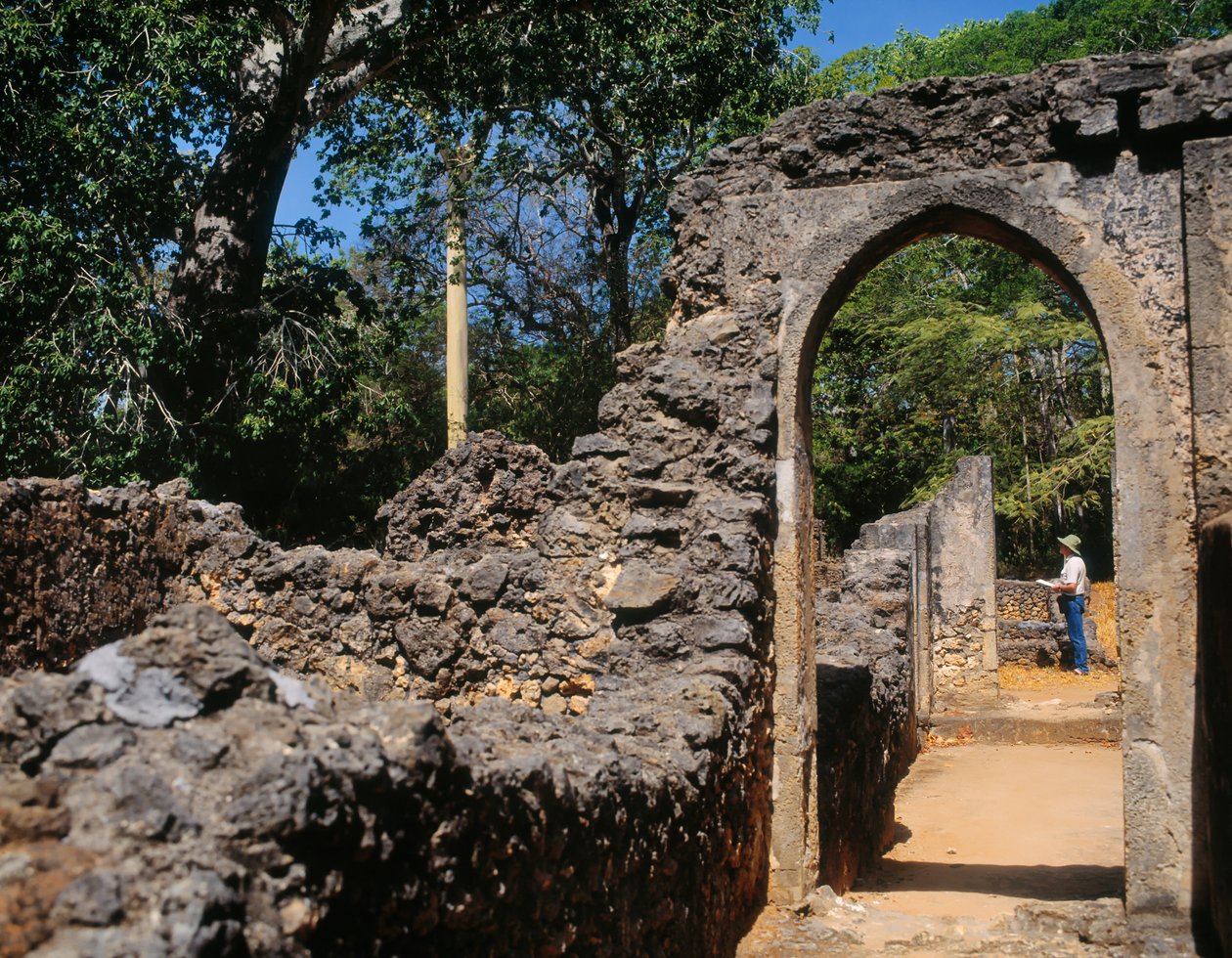 Ruinas de la ciudad amurallada de Unbekannt Unbekannt