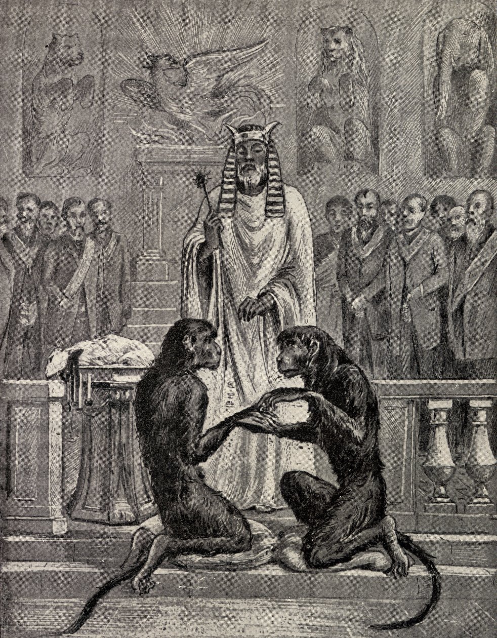 Sacrificio del Cordero durante el Matrimonio de los Simios, de 