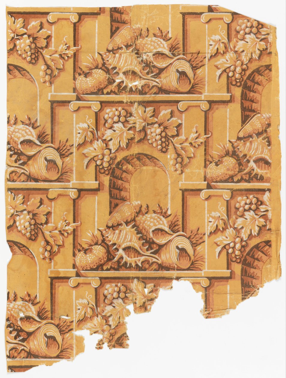 Conchas en el arco de Unbekannt Unbekannt