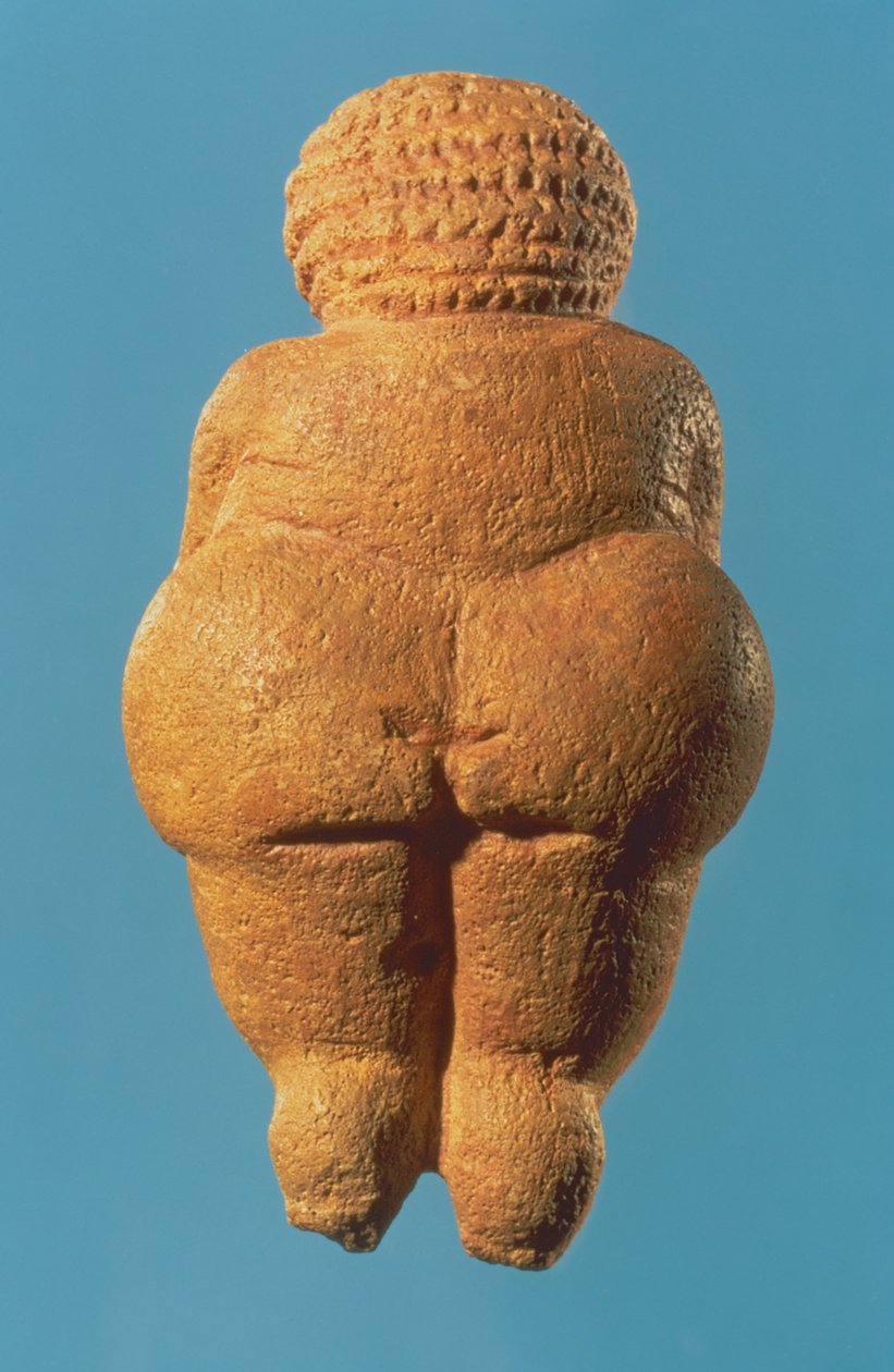 La Venus de Willendorf, vista trasera de la figurilla femenina, cultura Gravetiense, Periodo Paleolítico Superior, c.30000-18000 a.C. de Unbekannt Unbekannt