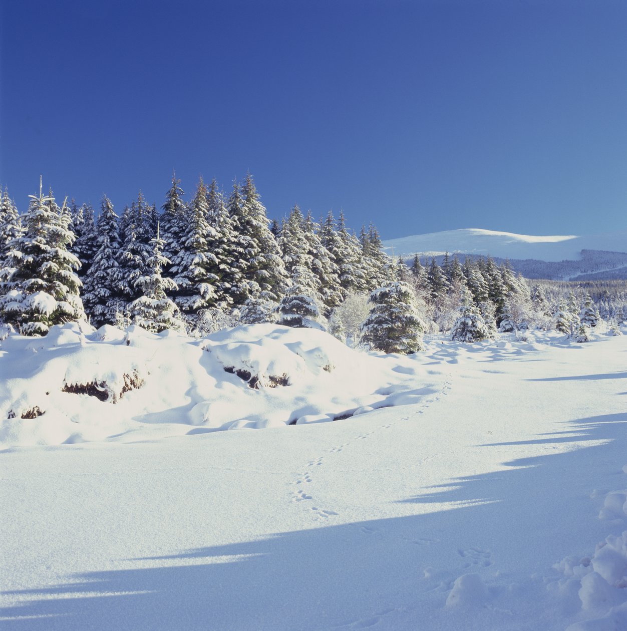Las Montañas de Wicklow en Invierno de Unbekannt Unbekannt