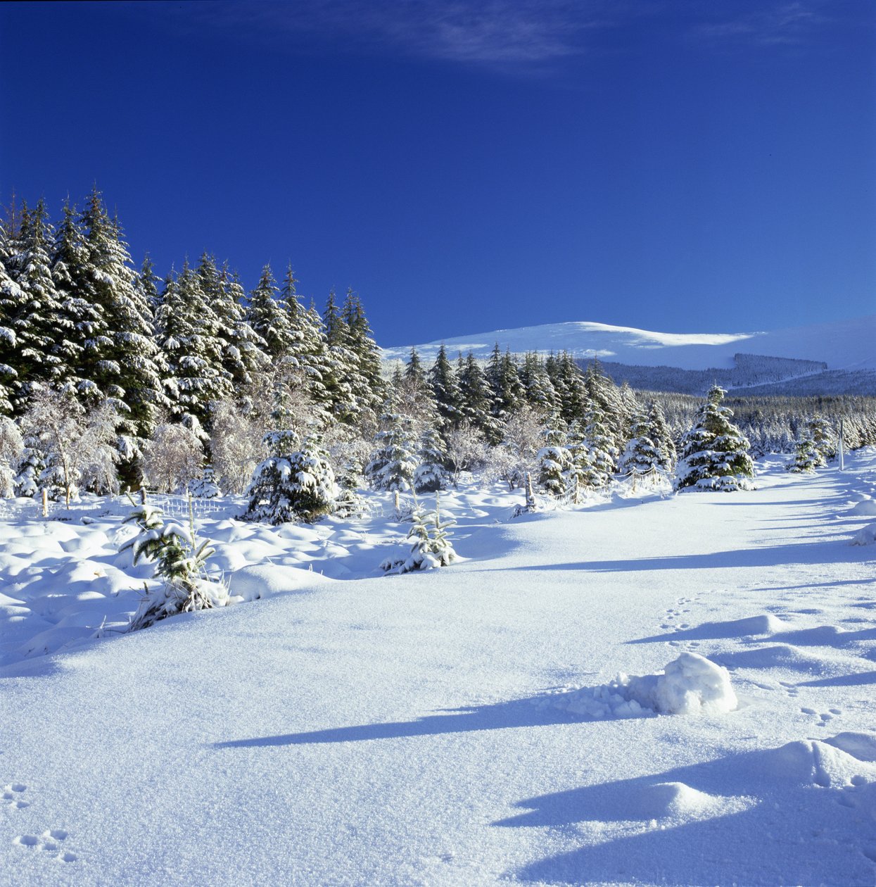 Las montañas de Wicklow en invierno de Unbekannt Unbekannt